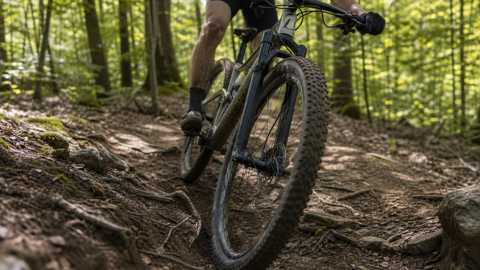 Fourche de VTT XC en action sur un terrain avec racines