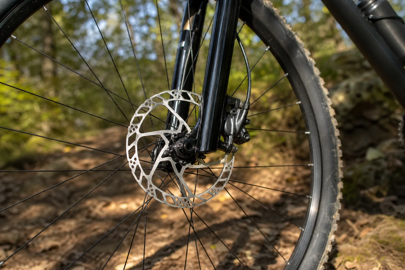 Disque de frein sur une roue de VTT XC en lumière naturelle